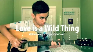 Love is a Wild Thing - Kacey Musgraves (fingerstyle cover by Marc)