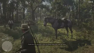 RDR 2 - Weapons Stash in Shadybelle 🔫