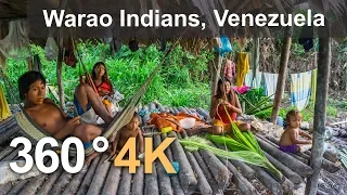 Warao Indians. Orinoco Delta, Venezuela. Aerial 360 video in 4K