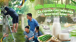 SỮA CHUA NHA ĐAM VÀ CÂU CHUYỆN CÂU TRỘM ĐIỆN | Hai Anh Em Phần 587 | Phim Hài Hước Gãy Media