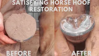 Full Horse Hoof Restoration ASMR