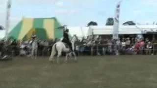 Jonathan Marshall Horseback Falconry Display