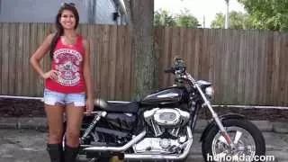 Used 2011 Harley Davidson Sportster 1200 Custom Motorcycles for sale