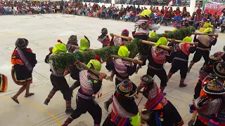 Danza Viga Huantuy - Festival de Danzas Mariscal Cáceres 2018, "4to F"