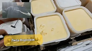 Липовый мёд Воронеж на складе!