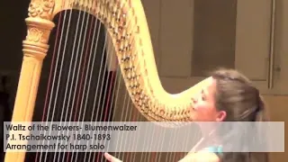 Waltz of the Flowers - Tschaikowsky, Silke Aichhorn - Harfe / Harp