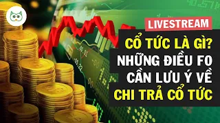 Cổ Tức Là Gì? 4 Điều F0 Cần Lưu Ý Về Chi Trả Cổ Tức