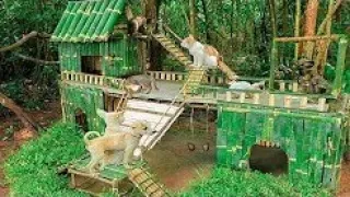 jungle survival videos real -Collect abandoned Dog and Build Mud Dog House