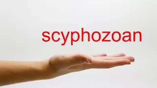 How to Pronounce scyphozoan - American English