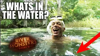 Guess What Deadly Fish Jeremy Swam With? | River Monsters