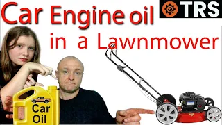 Car Engine Oil In a Lawnmower?  'Explained' - Best Engine Oil & Lawnmower Oil