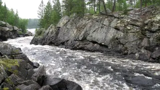 Wild beauty of Altai. RUSSIA. Дикая красота Алтая. РОССИЯ.