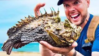 STUNG by a Stonefish! (Most Painful Sting on Earth)