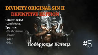 Прохождение Divinity: Original Sin II[DE]. Доблесть. Разбойник, Воин, Маг, Маг. #5