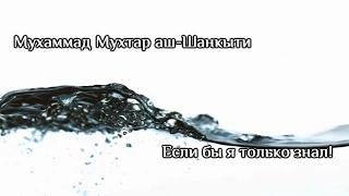 Мухаммад Мухтар аш-Шанкыти "Если бы я только знал"