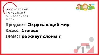 1 класс. Окружающий мир. Где живут слоны?