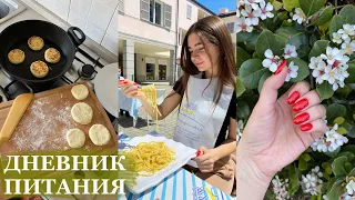 Мой продуктивный день: как я сдавала на права, что я ем и моя тренировка | День 14