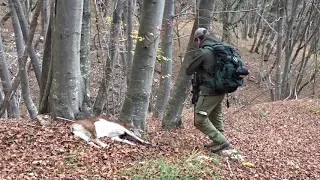 November hunt in hills of Slovenia