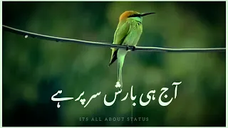 Barrish || Rain Poetry || Barish Poetry Status || Poetry In Urdu || Latest Poetry || Whatsapp Status