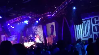 Blizzcon 2015 linkin park