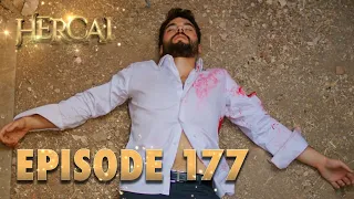 Hercai | Herjai Urdu - Episode 177