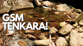 Great Smoky Mountains Tenkara Style | SHORT #テンカラ #tenkara #fishing #greatsmokymountains