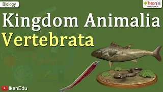 Kingdom Animalia ~ Vertebrata |  Class 11 Biology | iKen