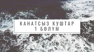 Канатсыз куштар. Автор Жалгызым Назик.Аңгеме. 1 бөлүм.