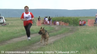 IX соревнования по ездовому спорту "Сайыына 2017"