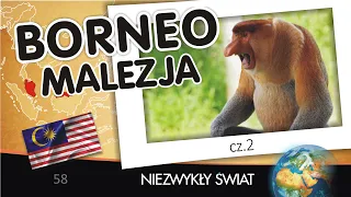 Niezwykly Swiat - Malezja (Borneo) cz.2 - Lektor PL - 63 min. - 4K