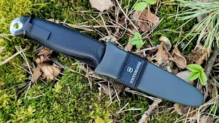 ШВЕЙЦАРСКАЯ МОРА?! Нож VENTURE Victorinox