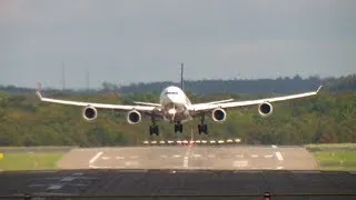 Lufthansa A340-642 close up arrival