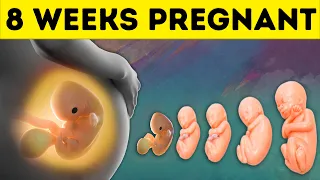 8 Weeks Pregnant: Symptoms and Baby Development in First Trimester