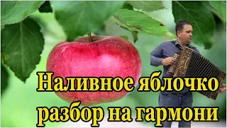 Наливное яблочко. Разбор на гармони