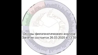 Основы филогенетического анализа