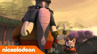 Kung Fu Panda | Monnaie de singe | Nickelodeon France