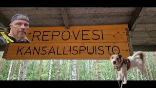 REPOVESI VAELLUS