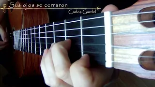 Sus ojos se cerraron - C. Gardel (Guitar)