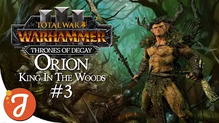 WE POUNCE ON THE PAUNCH | Orion #03 | Total War: WARHAMMER III