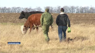 2016 11 16 Главы о главном выпуск 28 высоцкий