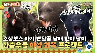 [#TV동물농장레전드] 돼지도 무서워💧 고양이도 무서워🥲 소심보스 🐻아기 반달곰 남매🐻 반이 달이의 이야기 /EP.668 #TV동물농장 #AnimalFarm #SBSstory