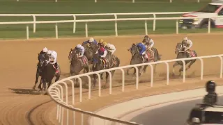 Race Replay: Dubai World Cup