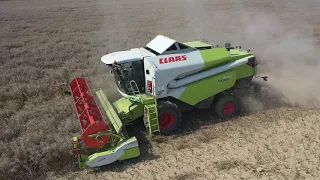 ŽNĚ ŘEPKY 2020//CLAAS//ZETOR//VALTRA//MUD//WTOPA//