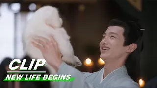 Li Wei Gives Yin Zheng a Puppy | New Life Begins EP02 | 卿卿日常 | iQIYI