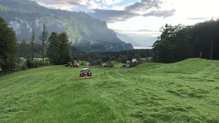 Lindner Lintrac 90 beim Mähen