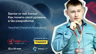 Senior or not Senior. Как понять свой уровень в Go-разработке / Tony Fich (TonyFich Production)