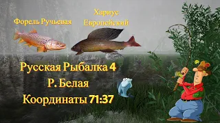 р. Белая • Хариус • Форель Ручьевая • Турниры • Русская рыбалка 4 • от ЧокопайТВ • РР4