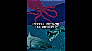 Colossal Squid Vs Victimizers