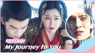 Jackdaw Si Sacrifices His Life to Protect Yun Weishan | My Journey to You EP22 | iQIYI Romance