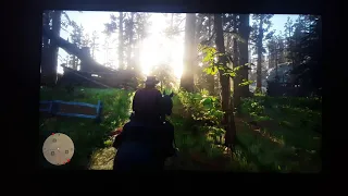 PS4 Pro fan noise - Red Dead Redemption II